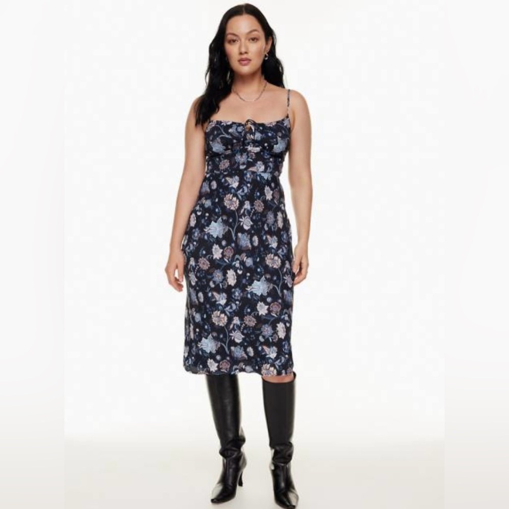 Aritzia Wilfred Bellow Dress